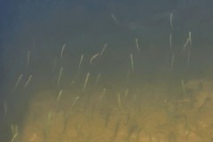 20250318_114702