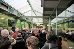 IMG_3543-copie